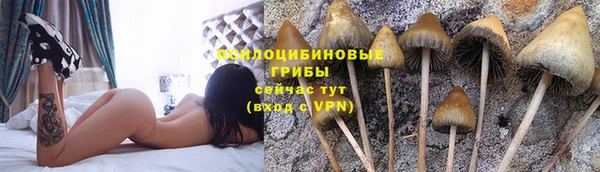 сатива Абдулино