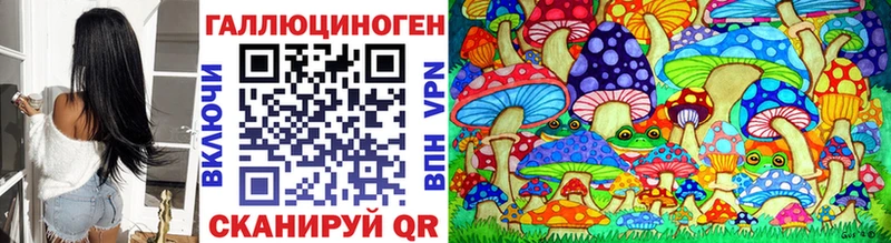 купить   Козловка  Галлюциногенные грибы мицелий 